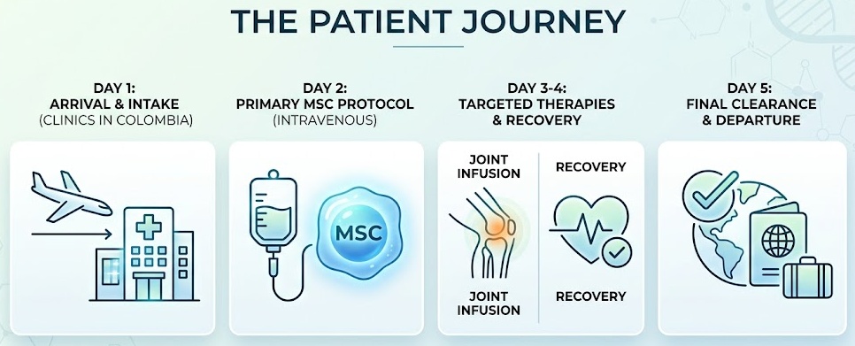 the patient journey